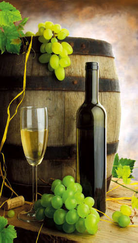 品味意大利葡萄酒，有一些東西是必須知道的。