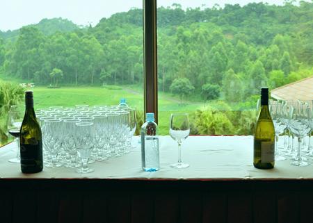 窗外美景與葡萄酒交相輝映