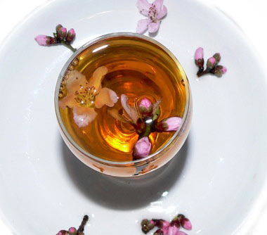 藥酒除斑,藥膳預防歲,中醫祛斑