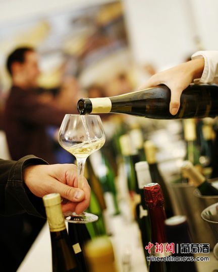 夏季怎么選酒才好喝?白葡萄酒、低濃度啤酒最適宜