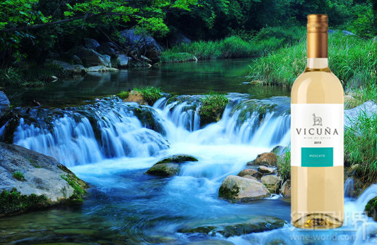 “五一”國內(nèi)游，背包里應(yīng)該塞瓶什么酒？