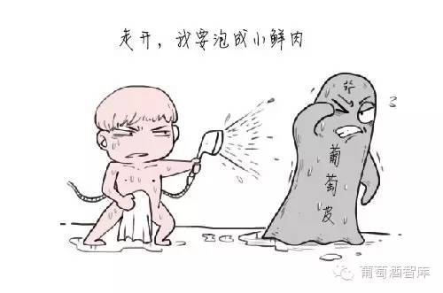 萬(wàn)萬(wàn)沒(méi)想到，葡萄酒的顏色還藏著那么多秘密