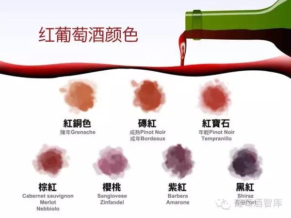 萬(wàn)萬(wàn)沒(méi)想到，葡萄酒的顏色還藏著那么多秘密
