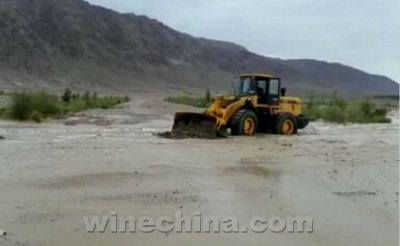 2016葡萄園報告（20）：新疆巴州遭暴雨 今年采收或因此推遲