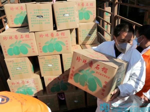 白云邊酒業(yè)一批優(yōu)秀志愿者獲表彰